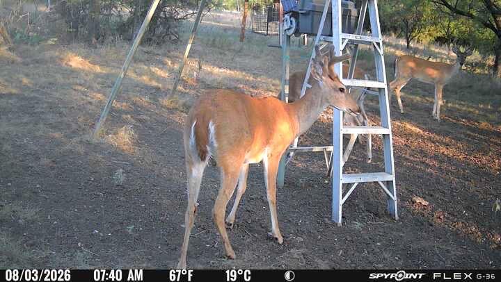 10674 County Road 312 Property Photo 22