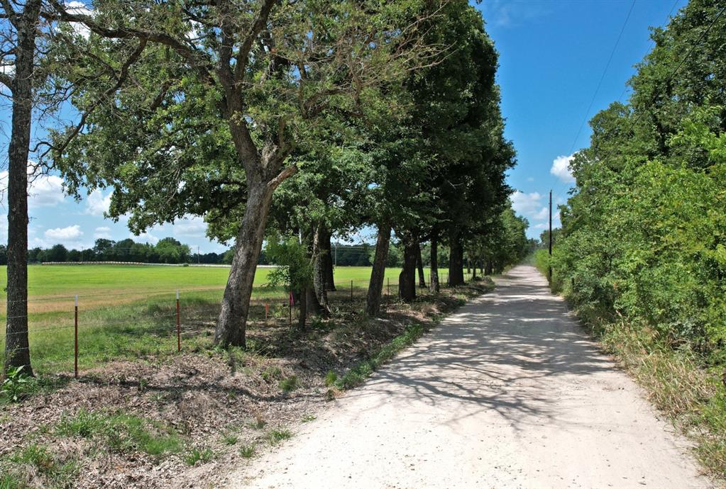 Lot 9 Vz County Road 3222 Property Photo 3