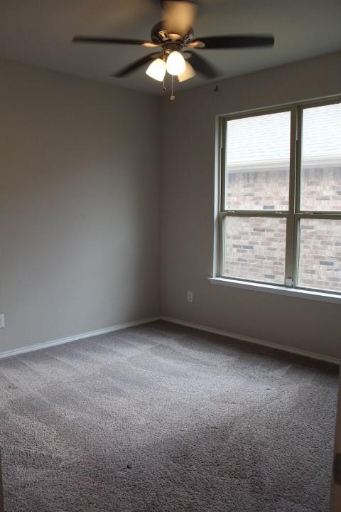 3705 Fossil Tree Lane Property Photo 4