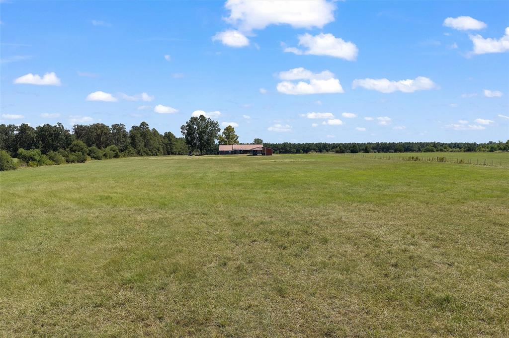 1131 Speights Road Property Photo 9