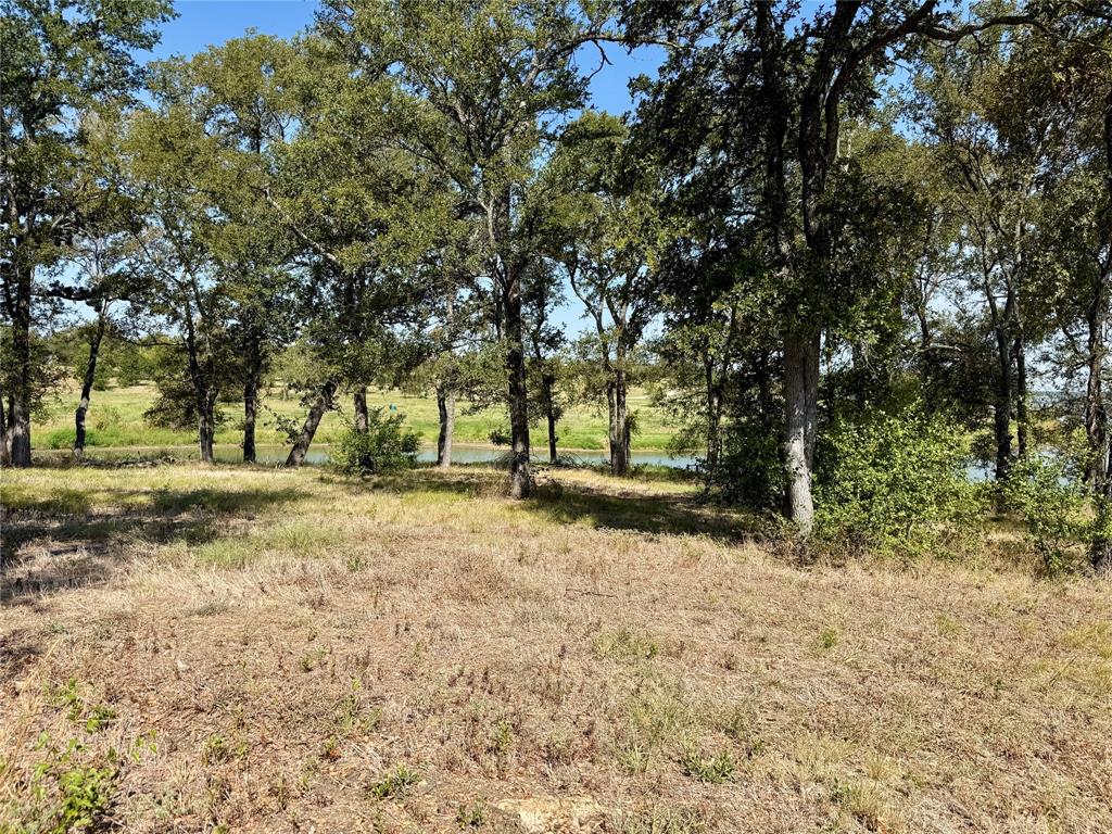 Lot 67 Diamond Point Drive Property Photo 13