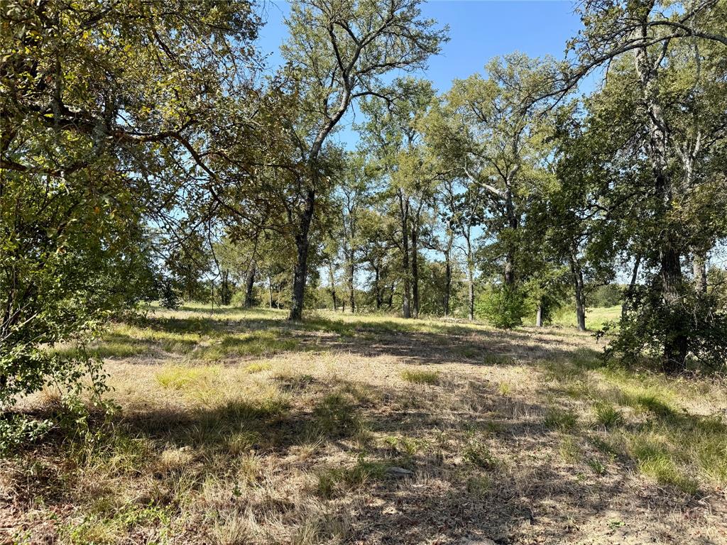 Lot 67 Diamond Point Drive Property Photo 16