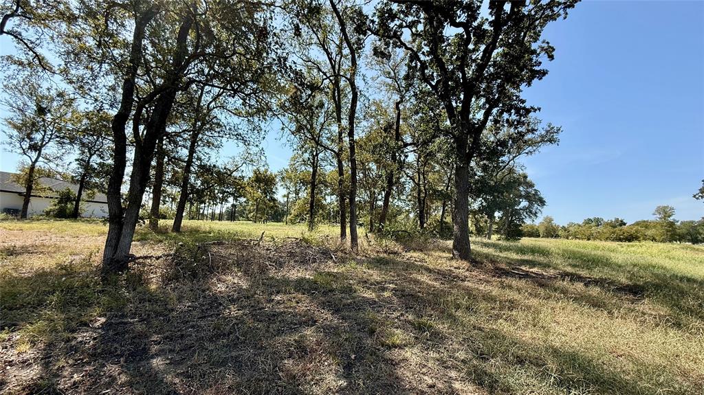 Lot 67 Diamond Point Drive Property Photo 25