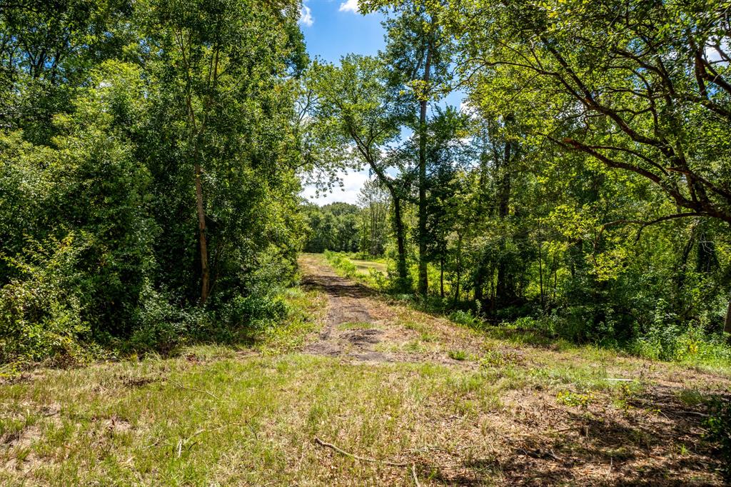 000 Private Road 1425 Property Photo 4