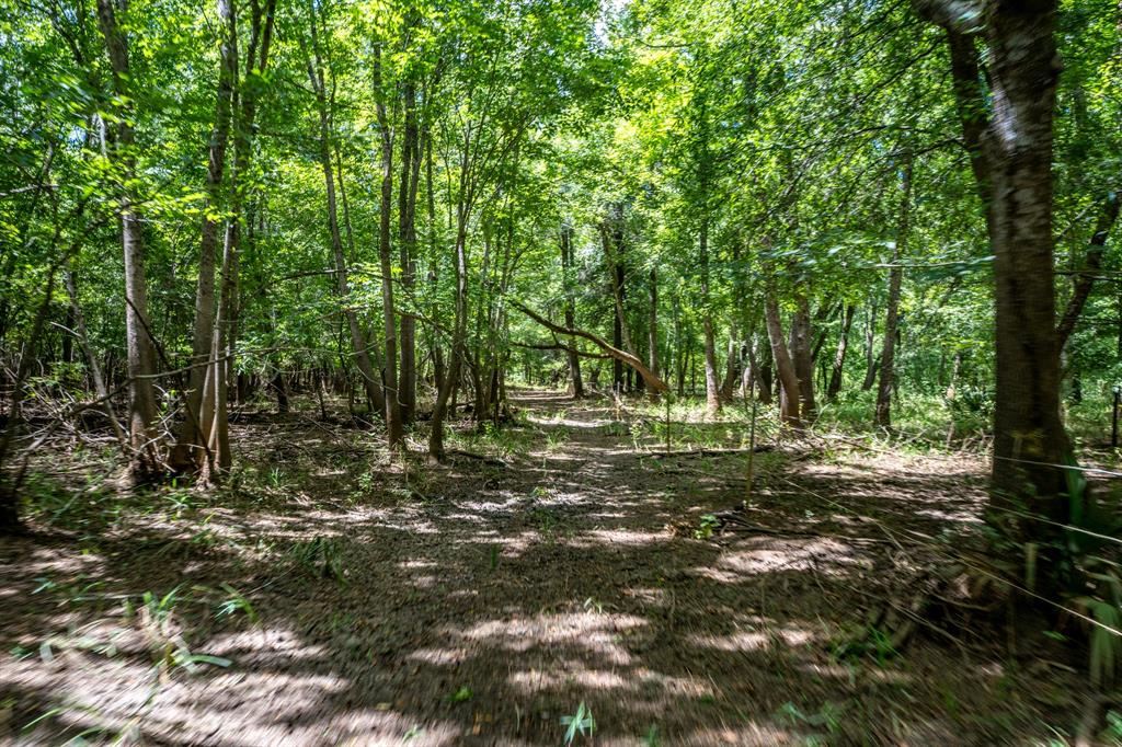 000 Private Road 1425 Property Photo 5