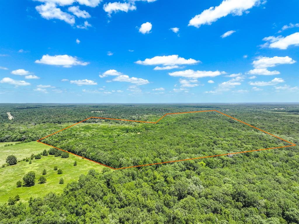 000 Private Road 1425 Property Photo 18