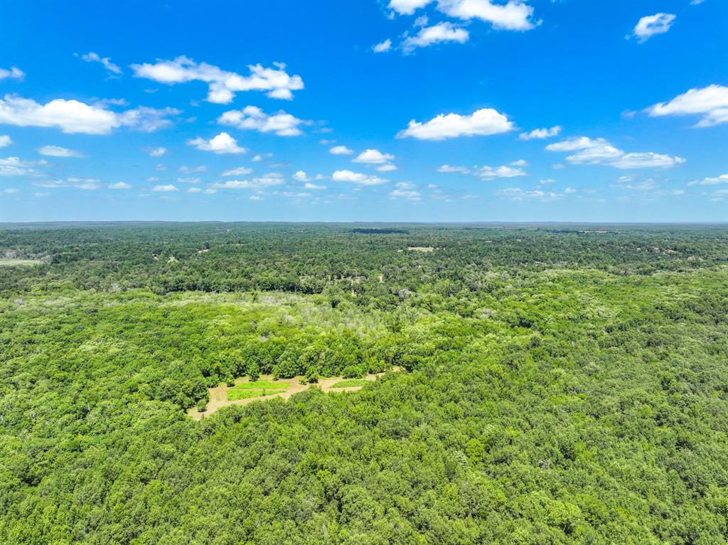 000 Private Road 1425 Property Photo 19