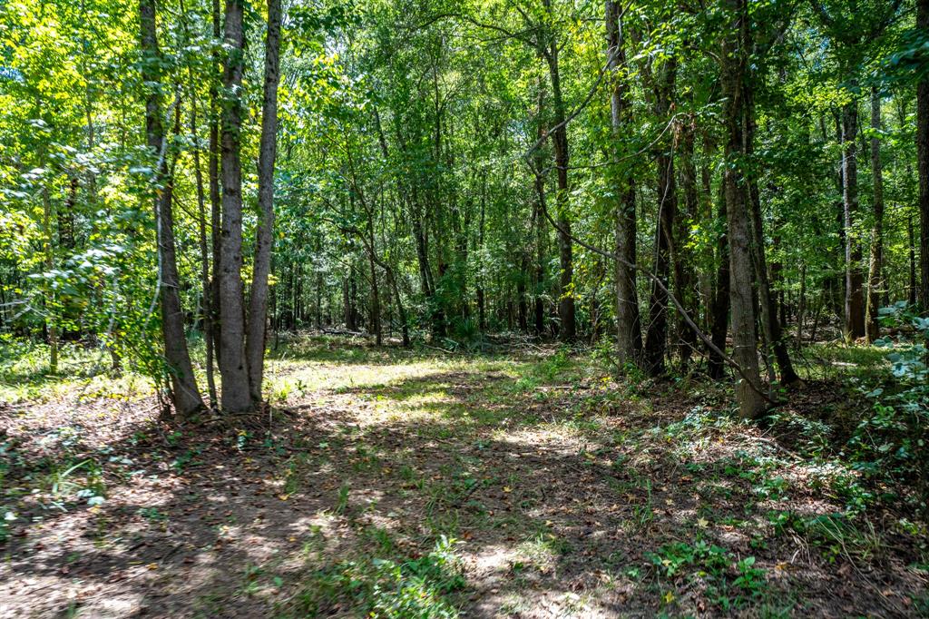 000 Private Road 1425 Property Photo 25