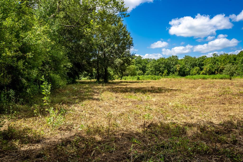 000 Private Road 1425 Property Photo 26