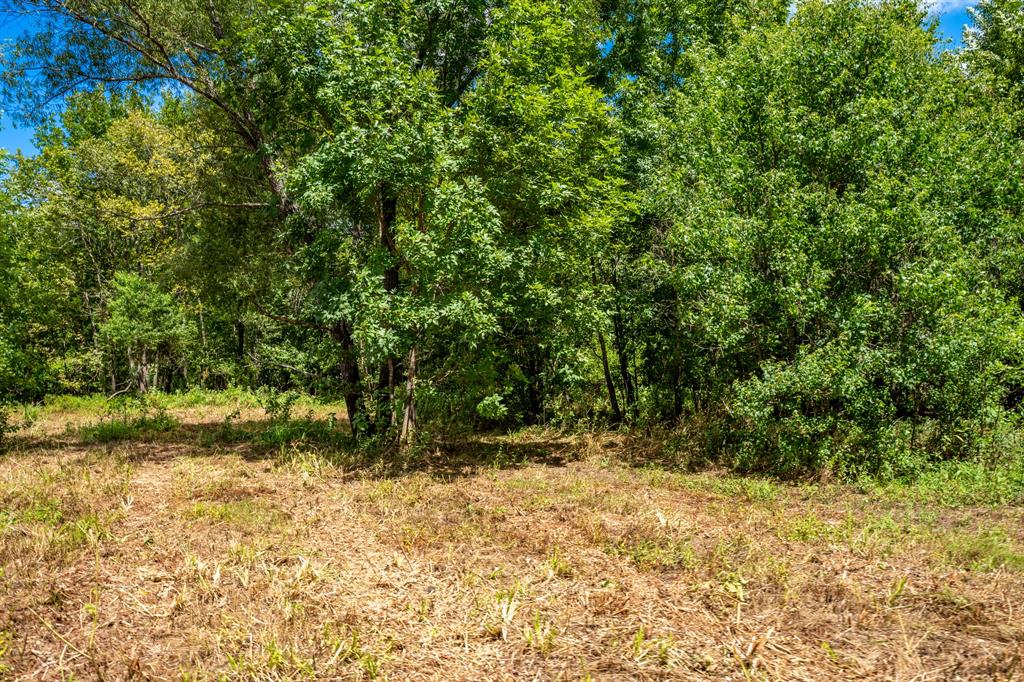 000 Private Road 1425 Property Photo 27