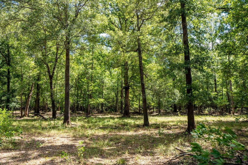 000 Private Road 1425 Property Photo 29