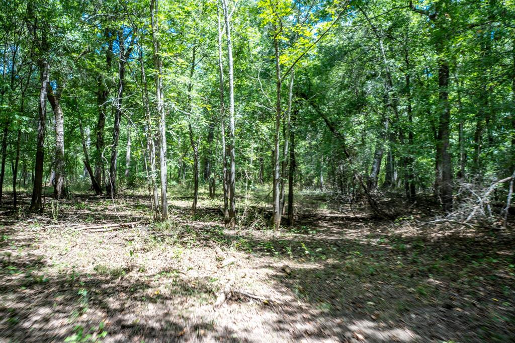 000 Private Road 1425 Property Photo 31