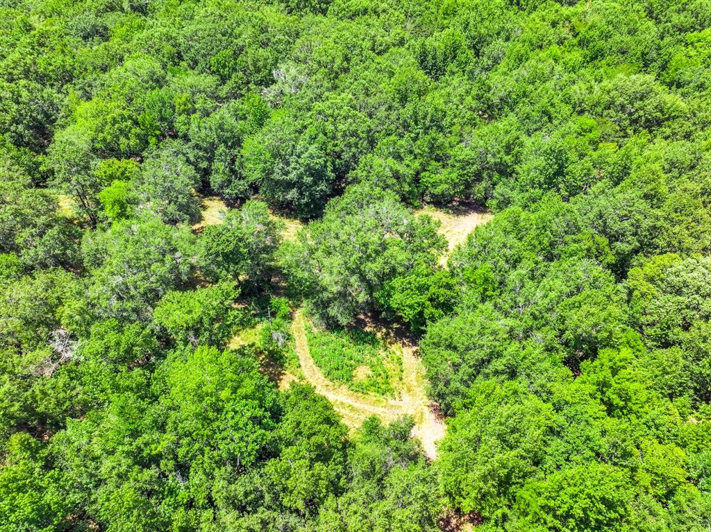 000 Private Road 1425 Property Photo 33