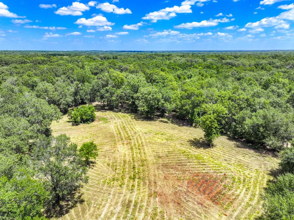 000 Private Road 1425 Property Photo 34