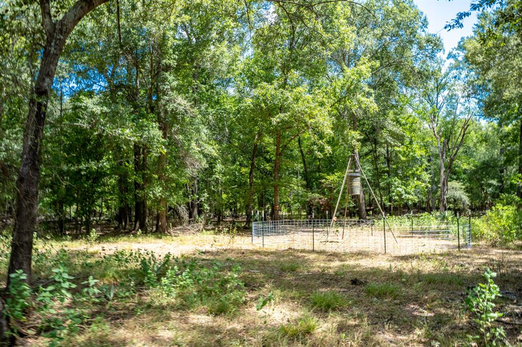 000 Private Road 1425 Property Photo 35