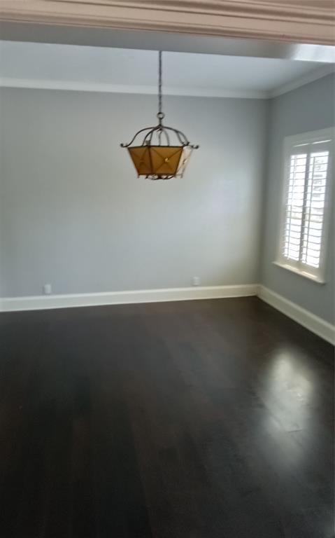 1116 Scotts Way Property Photo 5