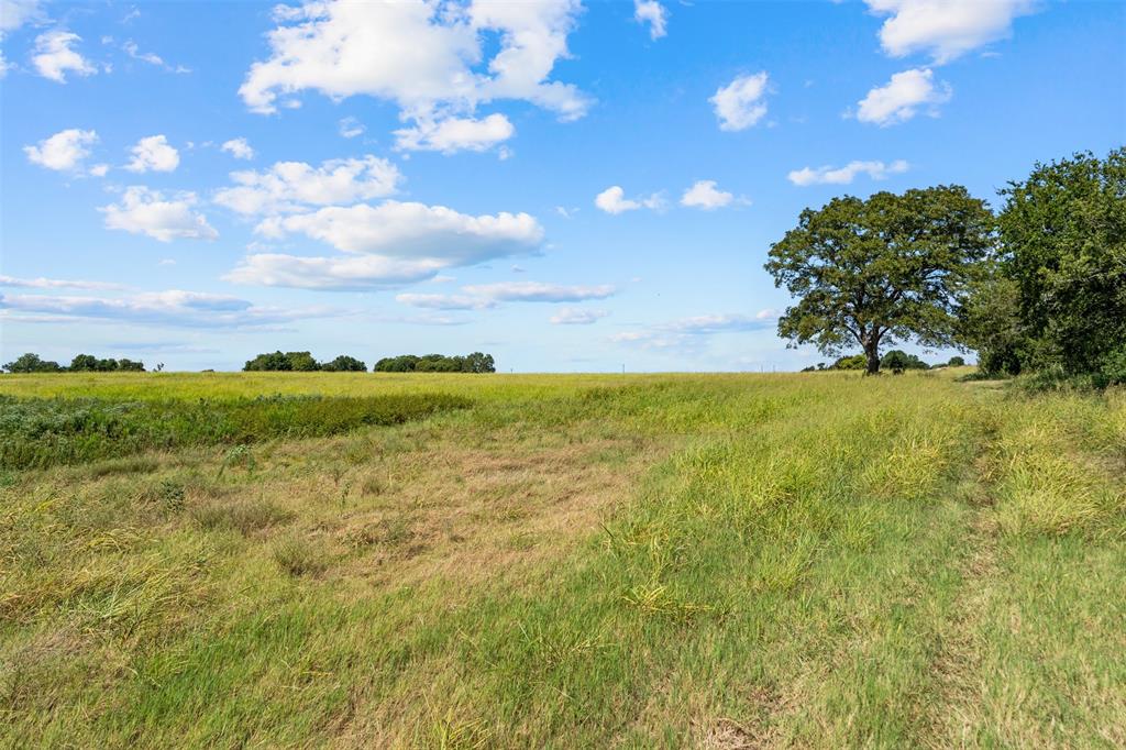 4562 Hwy 77 Property Photo 2