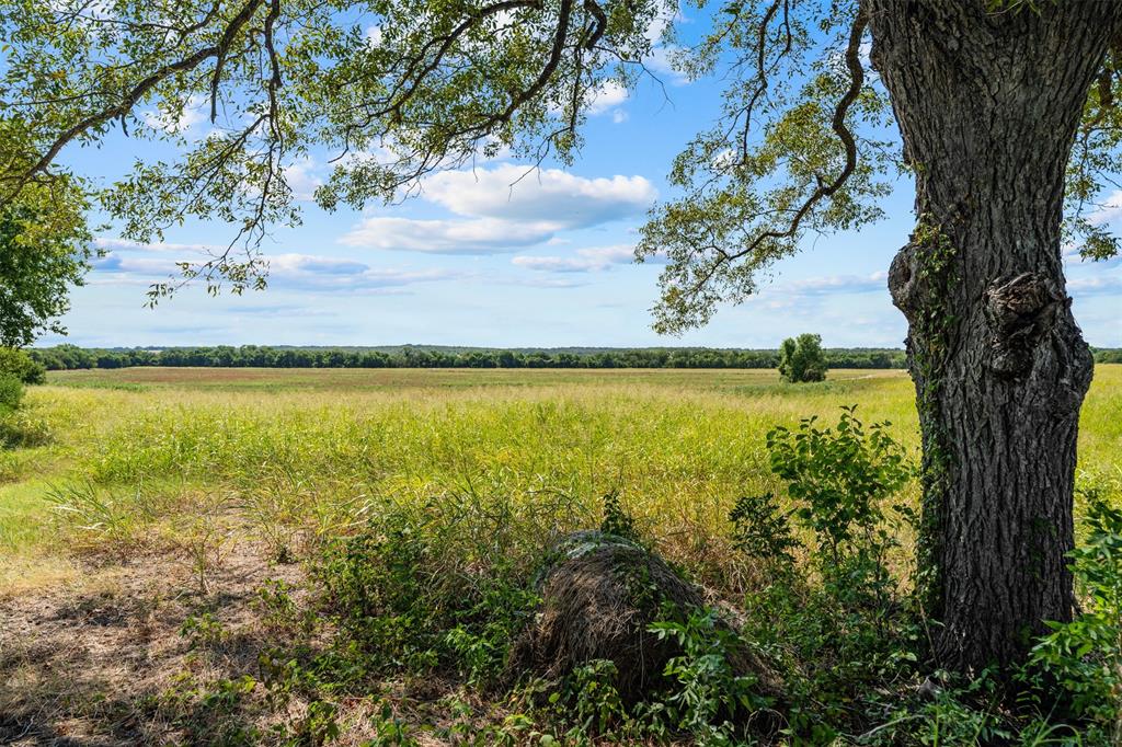 4562 Hwy 77 Property Photo 5