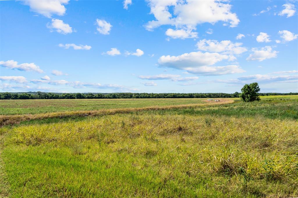 4562 Hwy 77 Property Photo 7