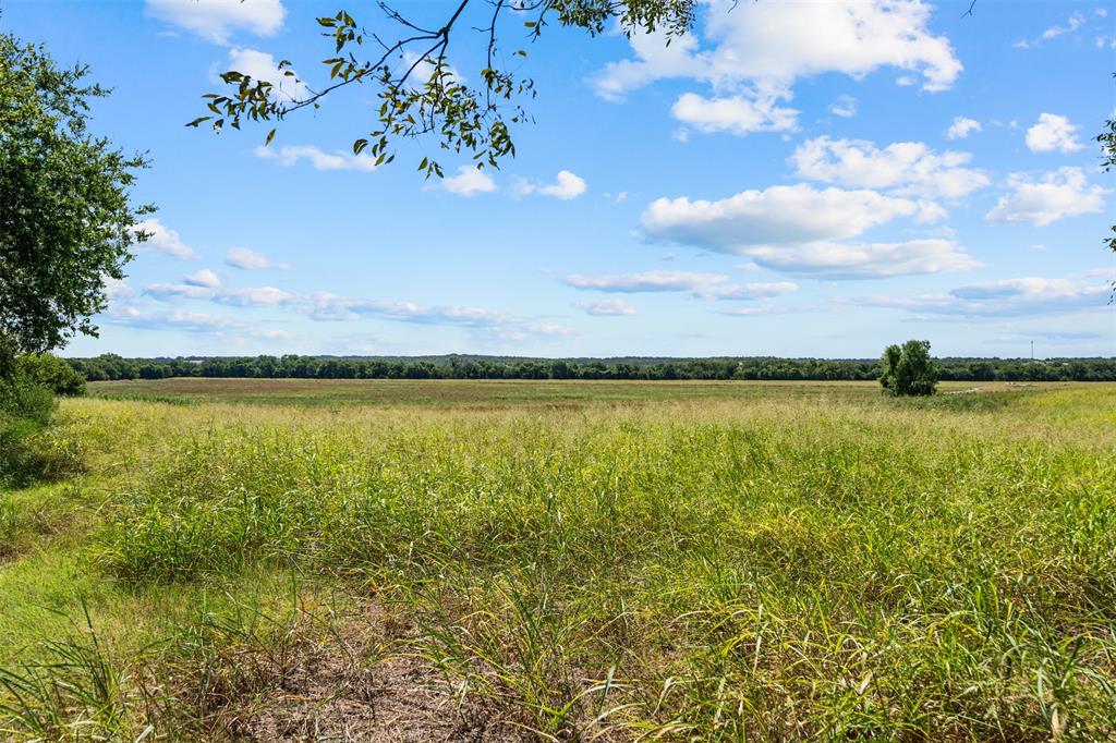 4562 Hwy 77 Property Photo 9