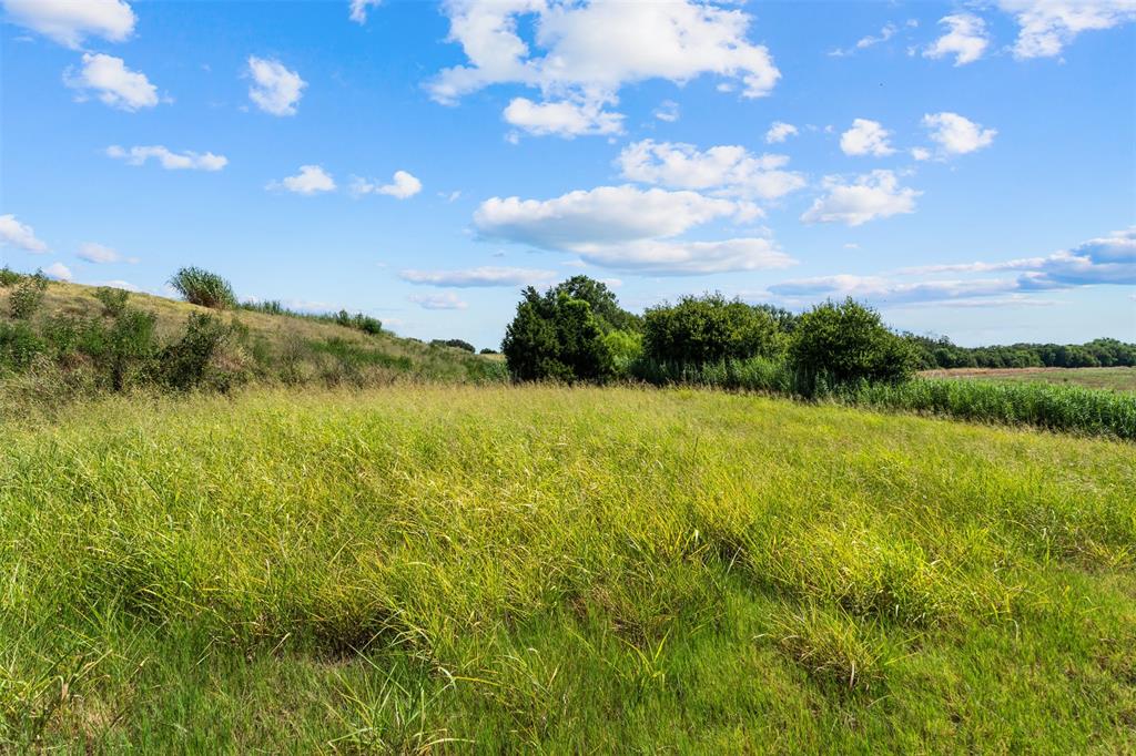4562 Hwy 77 Property Photo 10