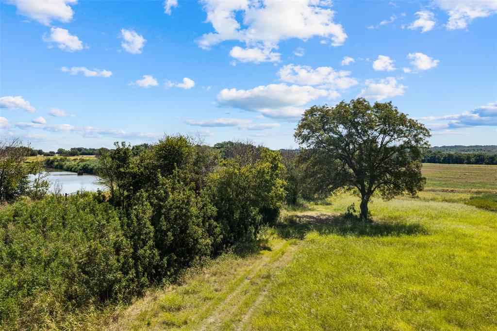 4562 Hwy 77 Property Photo 11
