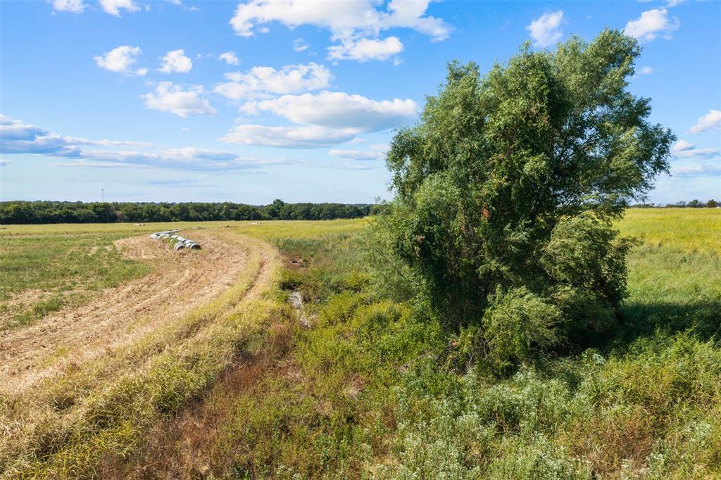 4562 Hwy 77 Property Photo 16