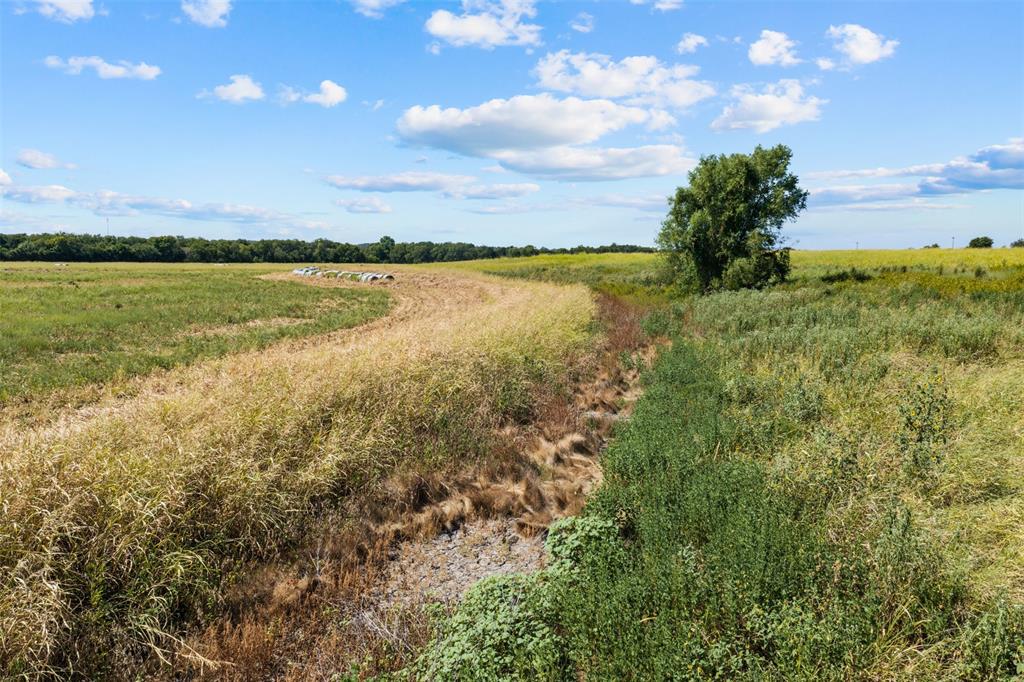 4562 Hwy 77 Property Photo 18