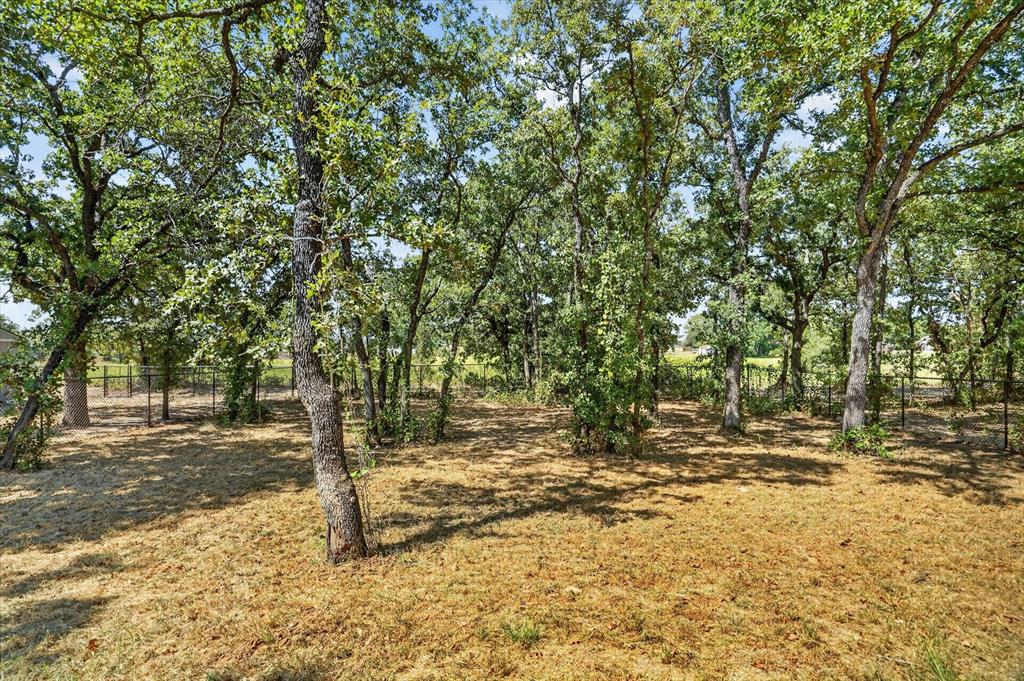 461 Peace Lily Way Property Photo 29
