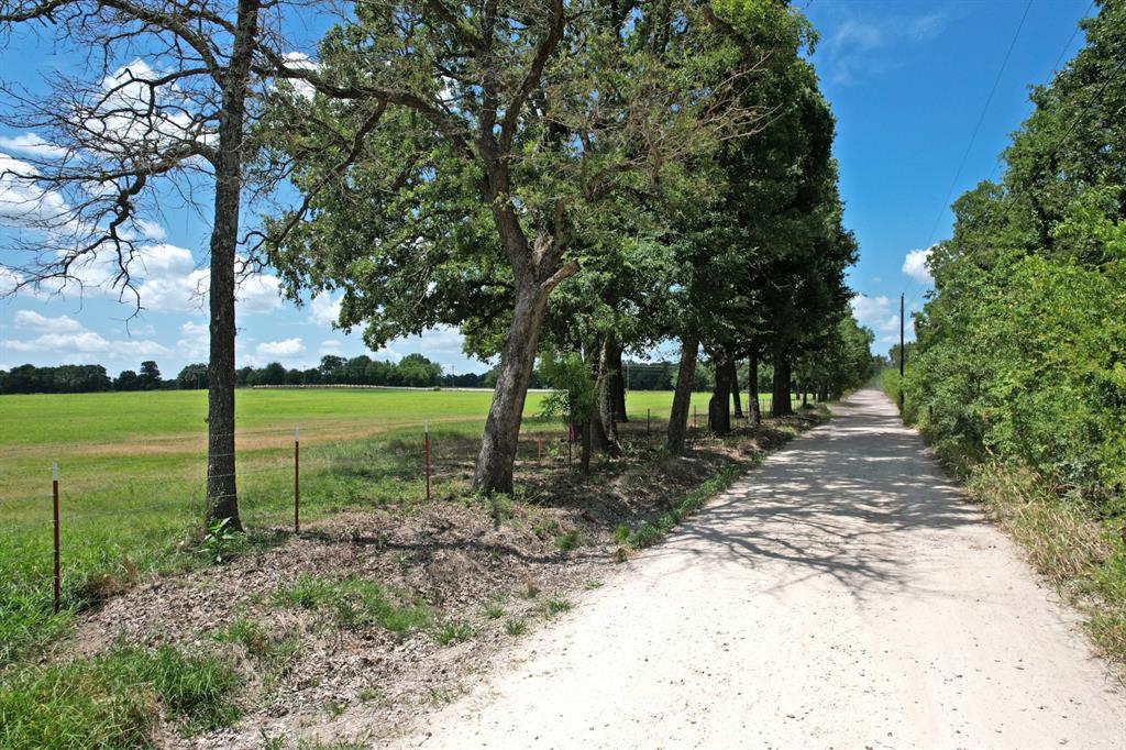 Lot 10 Vz County Road 3222 Property Photo 3