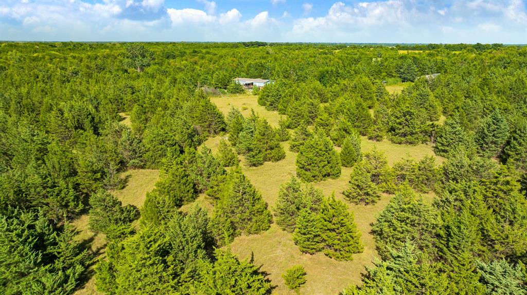 5464 County Road 12650 Property Photo 21