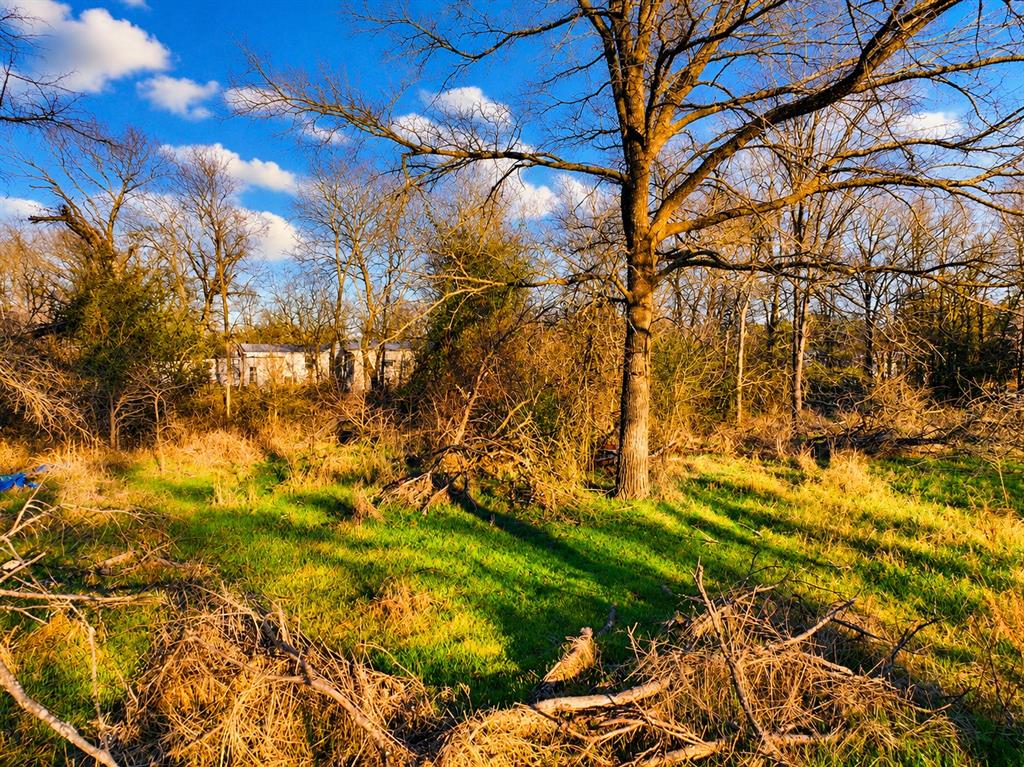259 Nw County 3115 Road Property Photo 8