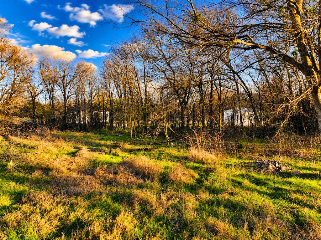 259 Nw County 3115 Road Property Photo 11