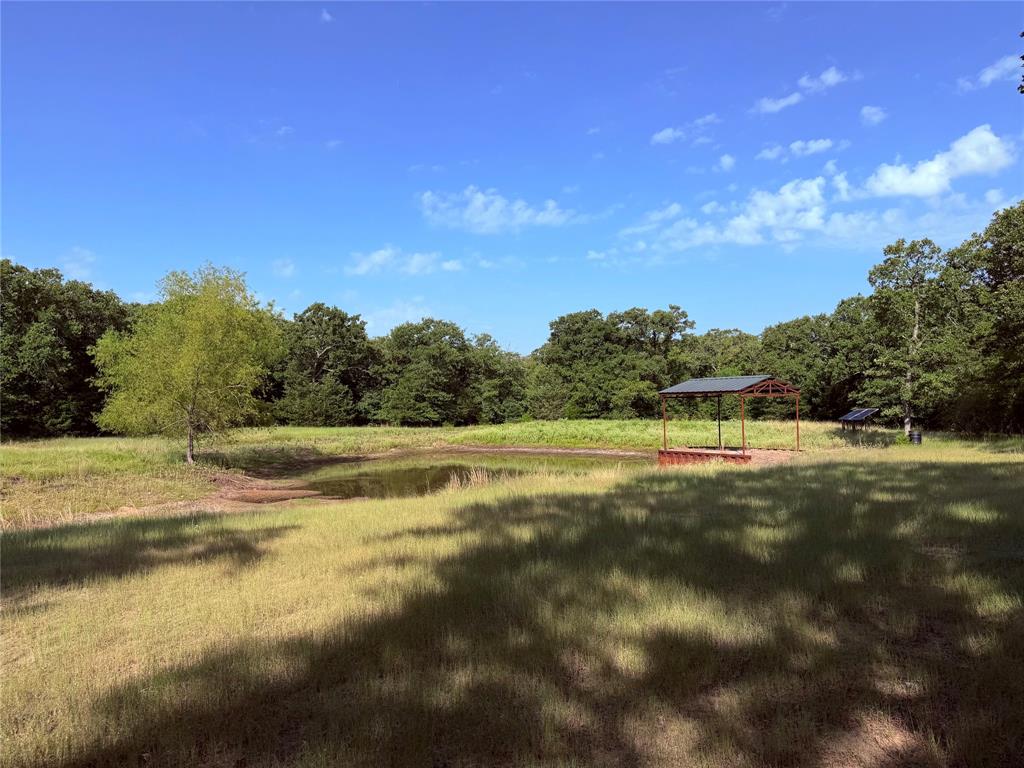 10442 County Road 2434 Property Photo 25