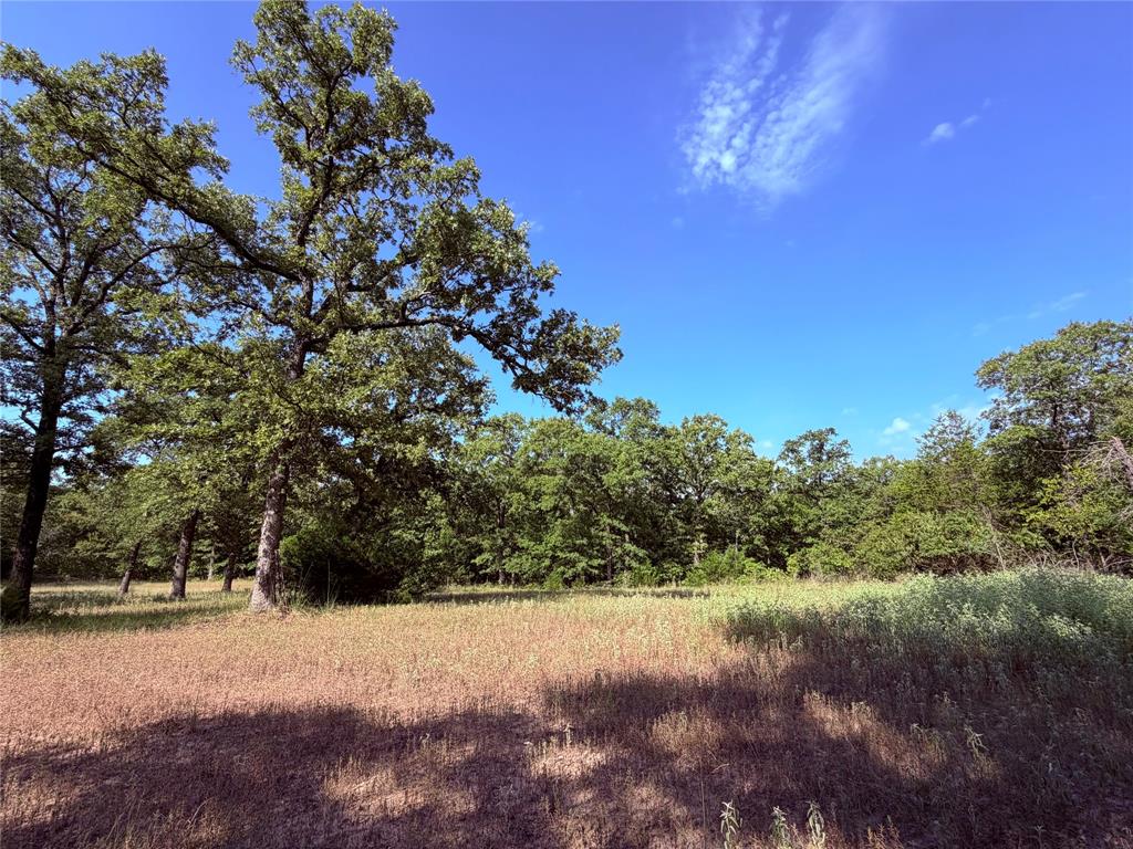 10442 County Road 2434 Property Photo 27