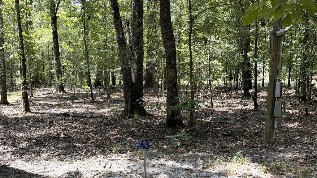 113 Triple Creek Property Photo 6