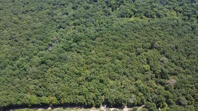 113 Triple Creek Property Photo 9