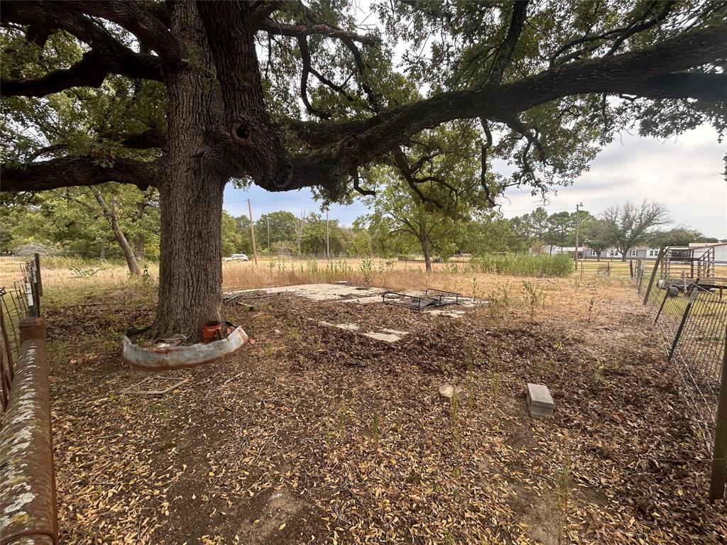 Tbd County Road 2139 Property Photo 1