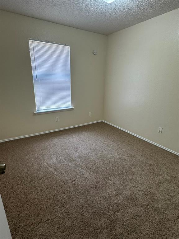 7004 Lincoln Drive Property Photo 13
