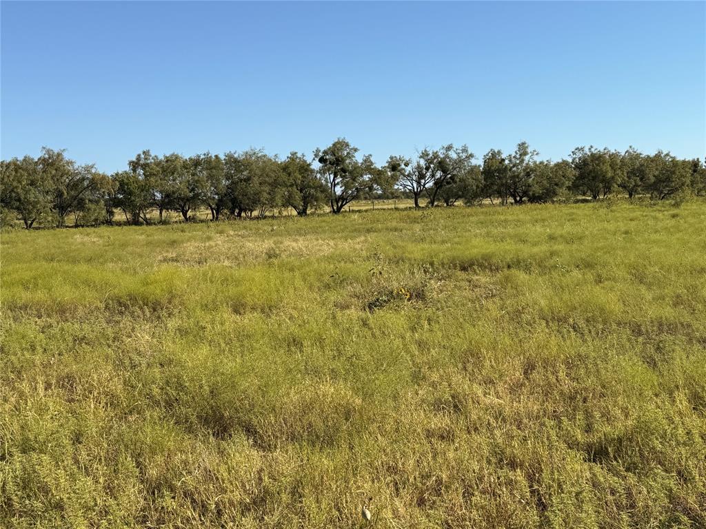 817 State Highway 153 Property Photo 30