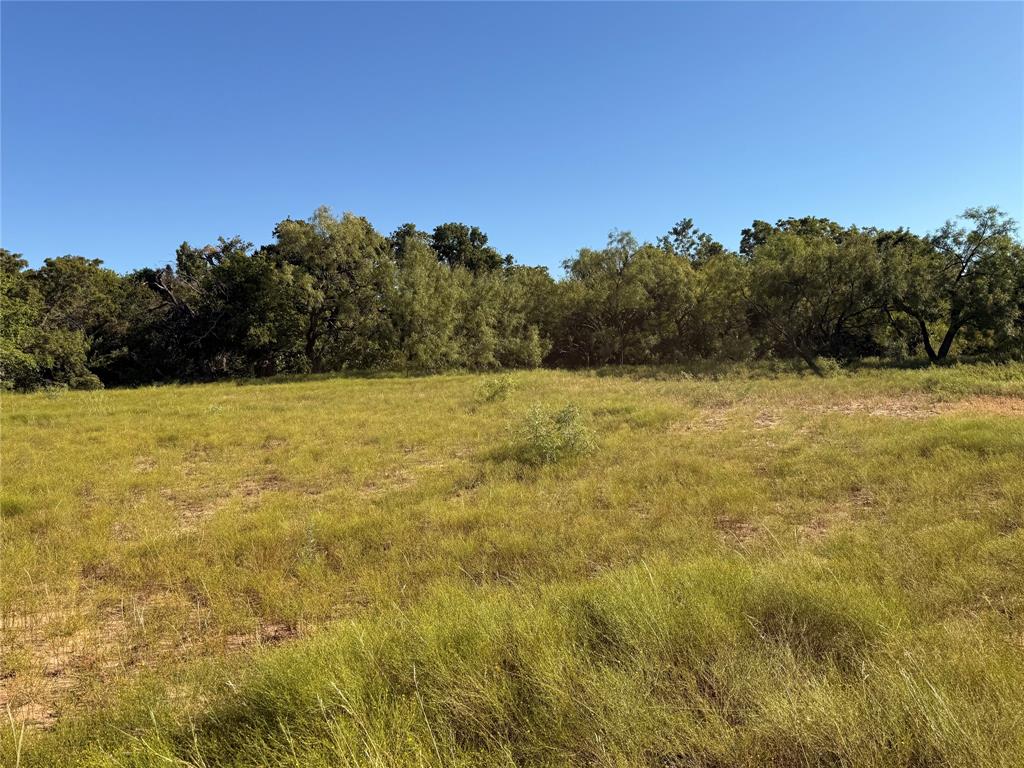 817 State Highway 153 Property Photo 31