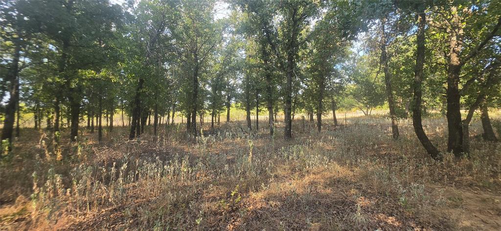 301 County Road 315 Property Photo 14