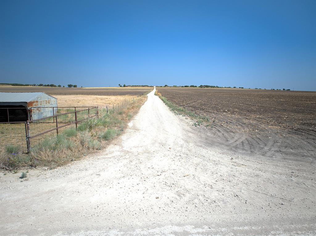 000 County Road 409 Property Photo 6