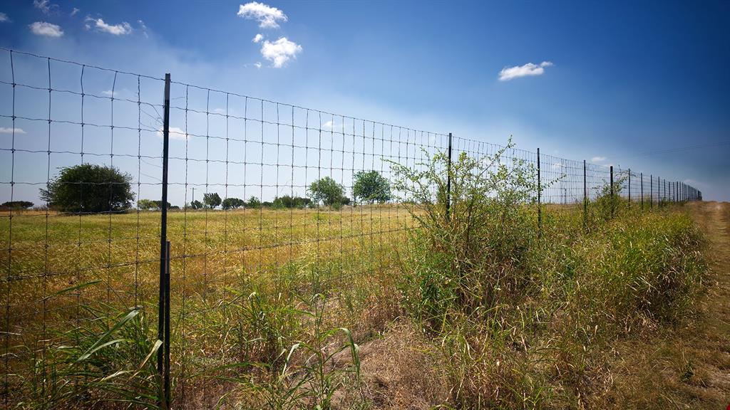 000 County Road 409 Property Photo 20