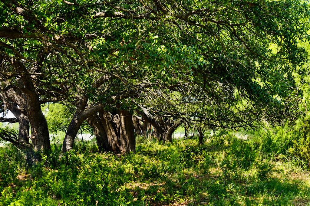8228 Us Hwy 377 Property Photo 8