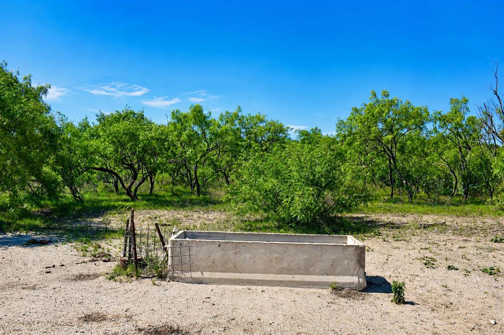 8228 Us Hwy 377 Property Photo 11
