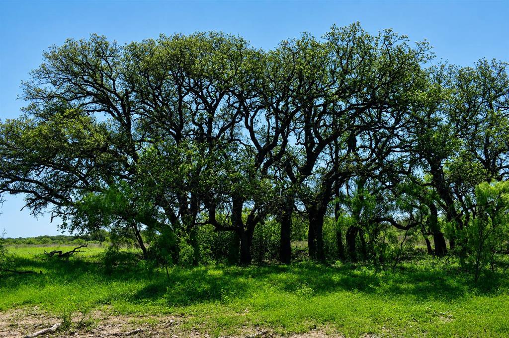 8228 Us Hwy 377 Property Photo 23