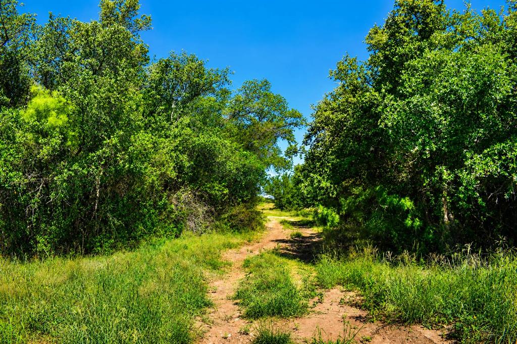 8228 Us Hwy 377 Property Photo 33