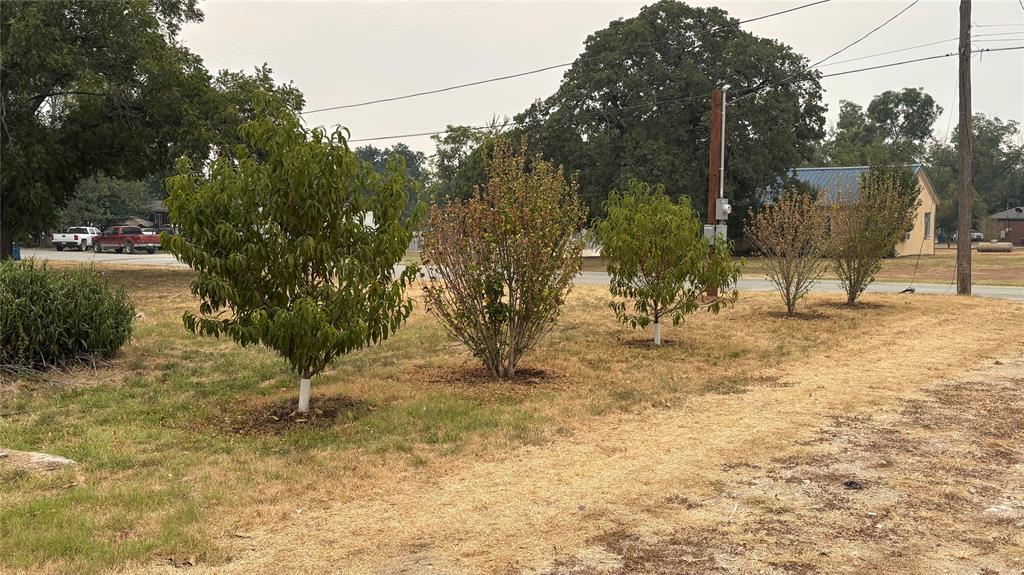 701 W Manchaca Avenue Property Photo 3