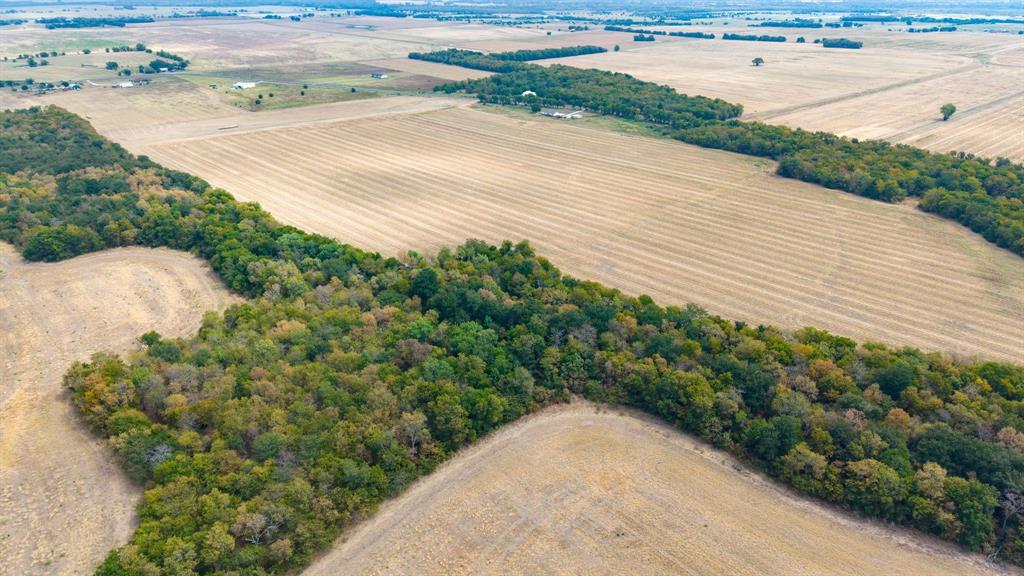 6304 & 6280 Fm 512 Property Photo 9